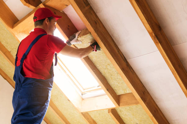 Types of Insulation We Offer in Lake Placid, FL